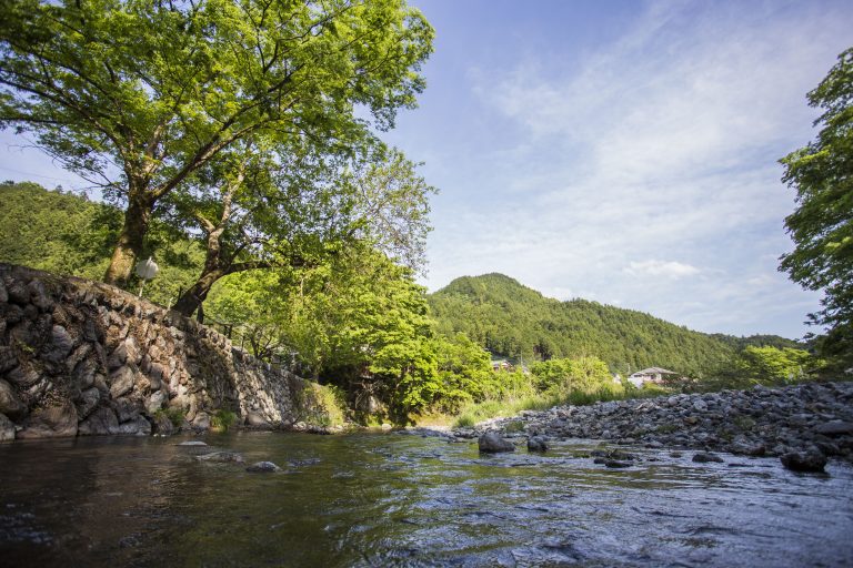 山あいを流れる名栗川の清流