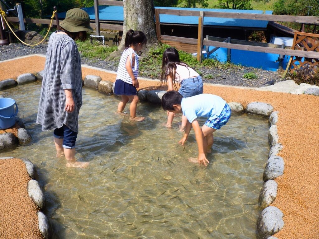 場内のマス釣り場でにじますのつかみ取りを楽しむ子どもたち