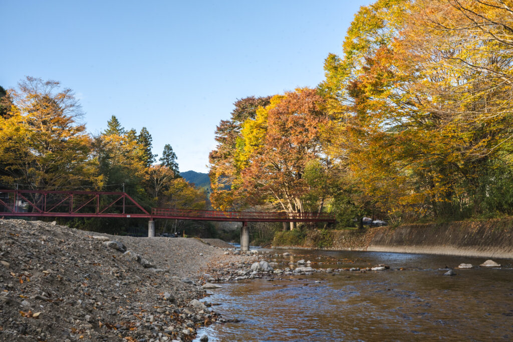 紅葉に色づく名栗川の川沿い