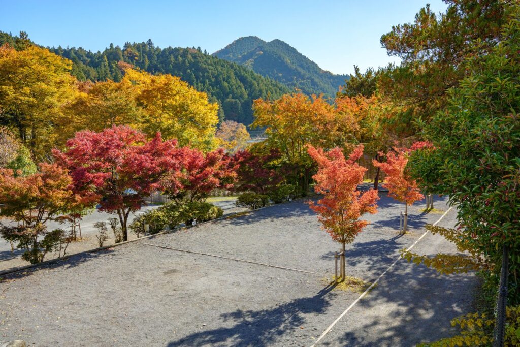 紅葉に囲まれたケニーズ・ファミリー・ビレッジの区画サイトと名栗の山